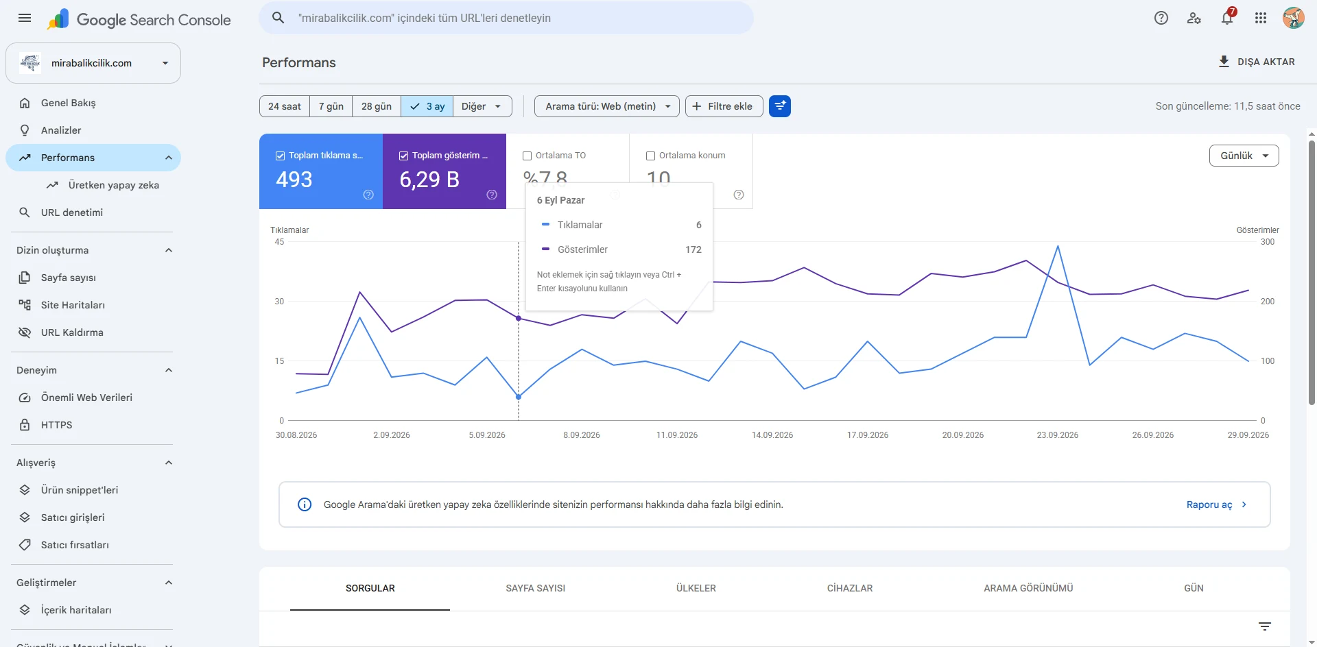 Mira Balıkçılık için Google Search Console performans grafiği: ilk ay tıklama ve gösterim eğrisi